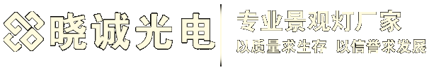 晓诚光电